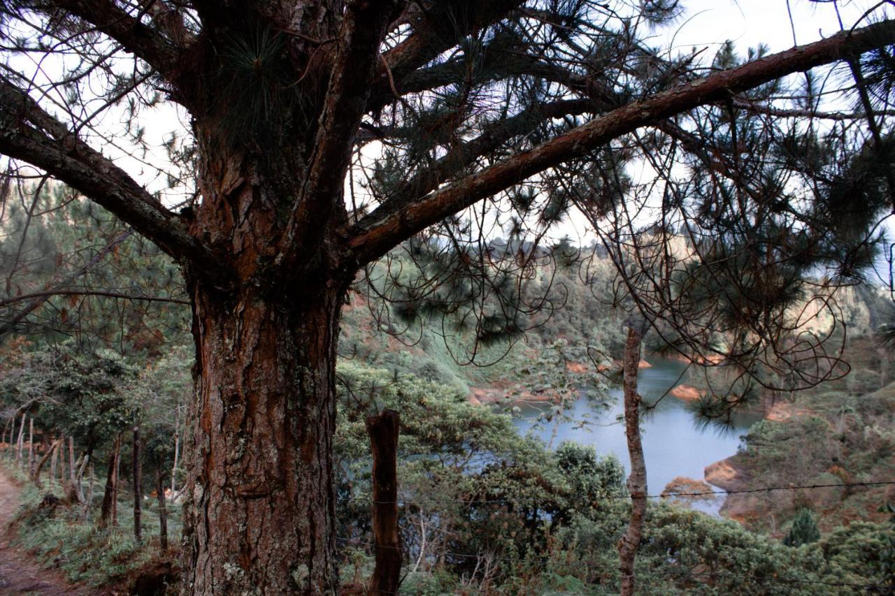 Cabanas Refugio Himalaya Guatapé Exteriör bild